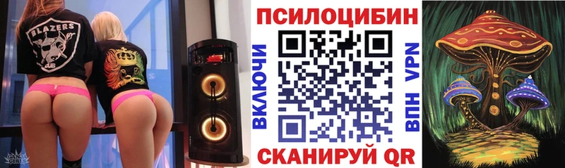 магазин продажи наркотиков  Елец  Галлюциногенные грибы прущие грибы 