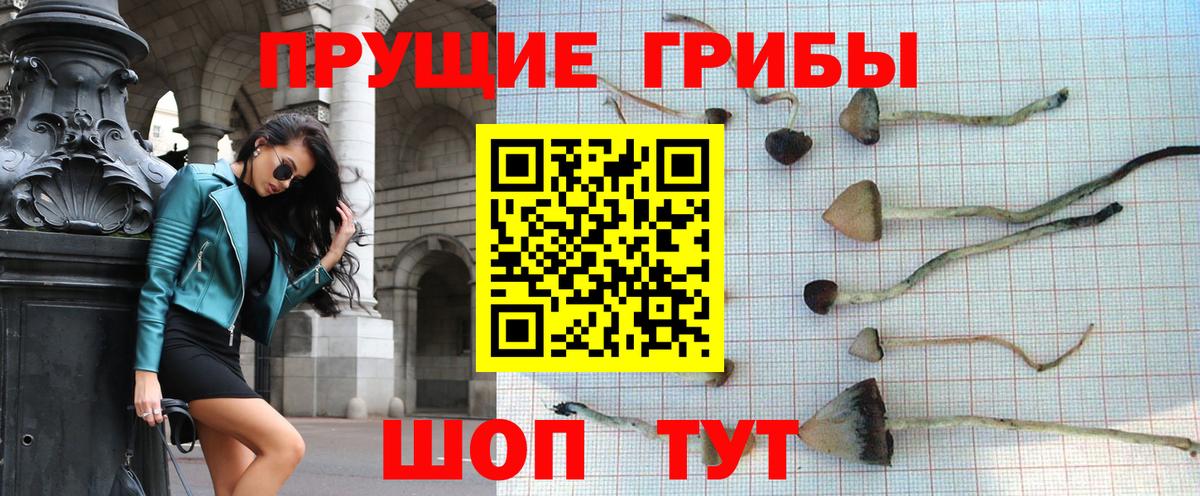 Елец  Галлюциногенные грибы мицелий  Вход с VPN  Псилоцибиновые грибы MAGIC MUSHROOMS 