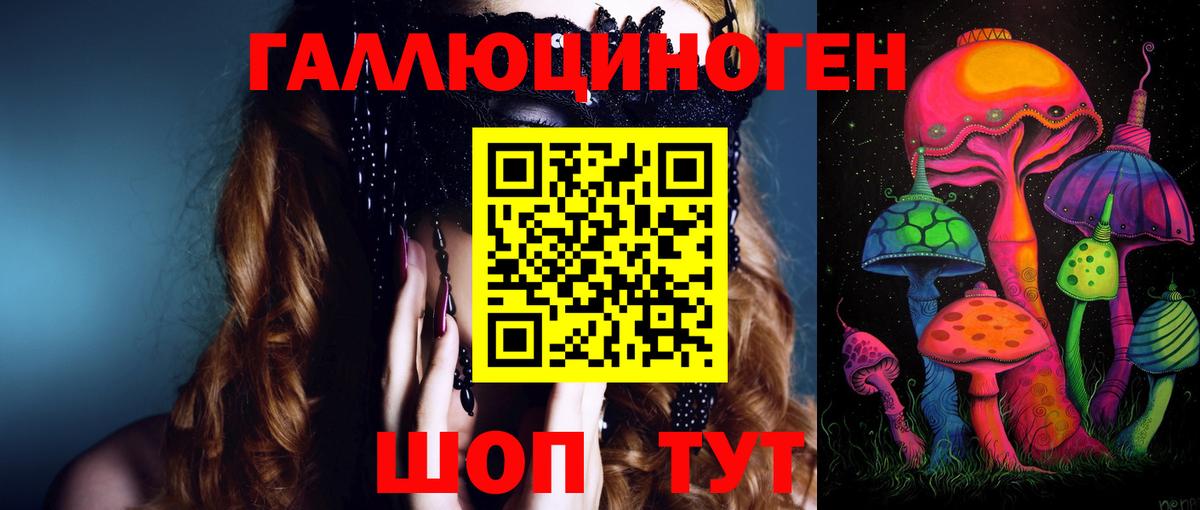 Псилоцибиновые грибы Psilocybine cubensis Елец