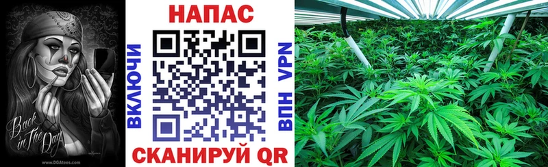 Каннабис тримм Елец